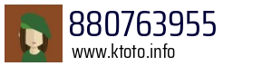 880763955