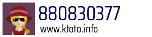 880830377