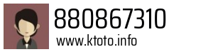 880867310