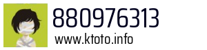 880976313