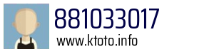 881033017