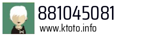 881045081