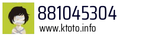 881045304