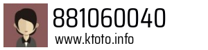 881060040
