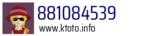881084539