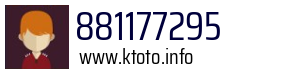 881177295