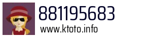 881195683