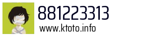 881223313