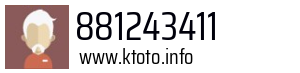 881243411