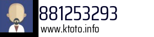 881253293