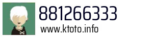 881266333