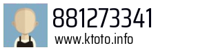 881273341