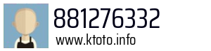881276332