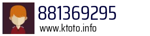 881369295