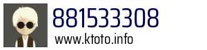 881533308