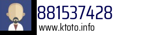 881537428