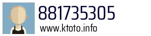 881735305