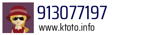 913077197